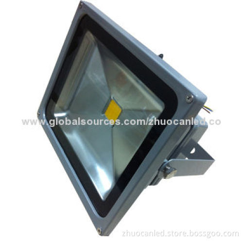 20/50/100W Outdoor LED Food Lights